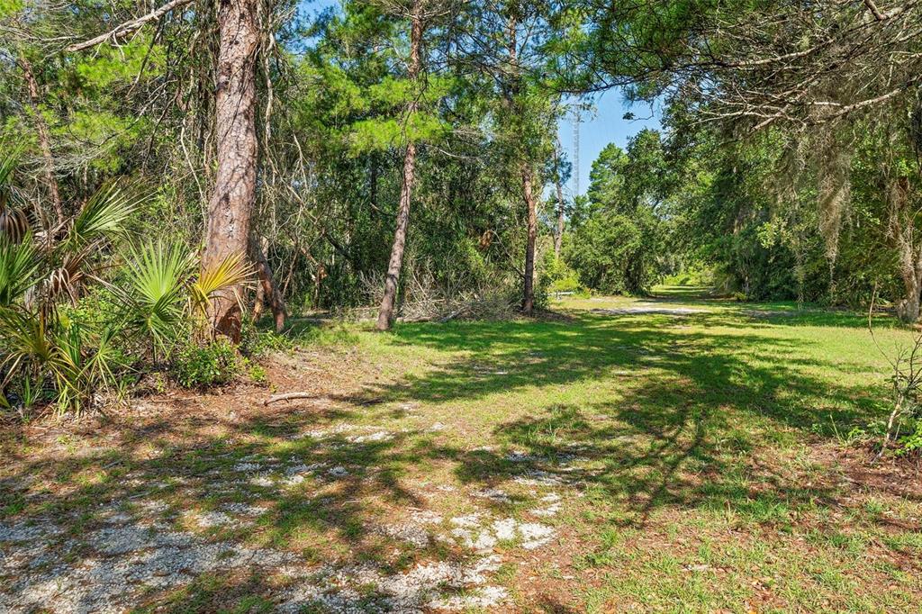 1835 South Glencoe Road New Smyrna Beach, FL 32168 - Photo 9 of 29 a backyard of a house with lots of green space