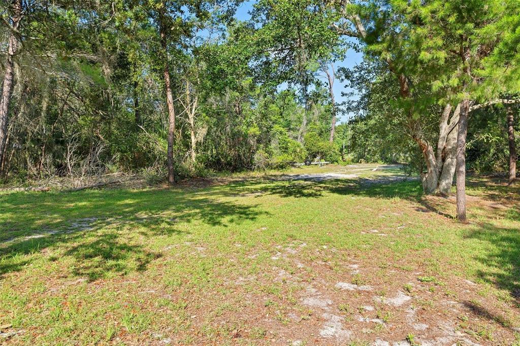 1835 South Glencoe Road New Smyrna Beach, FL 32168 - Photo 10 of 29 a view of outdoor space with trees all around