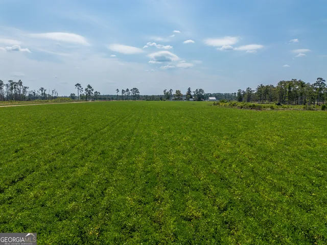 an aerial view of a football ground