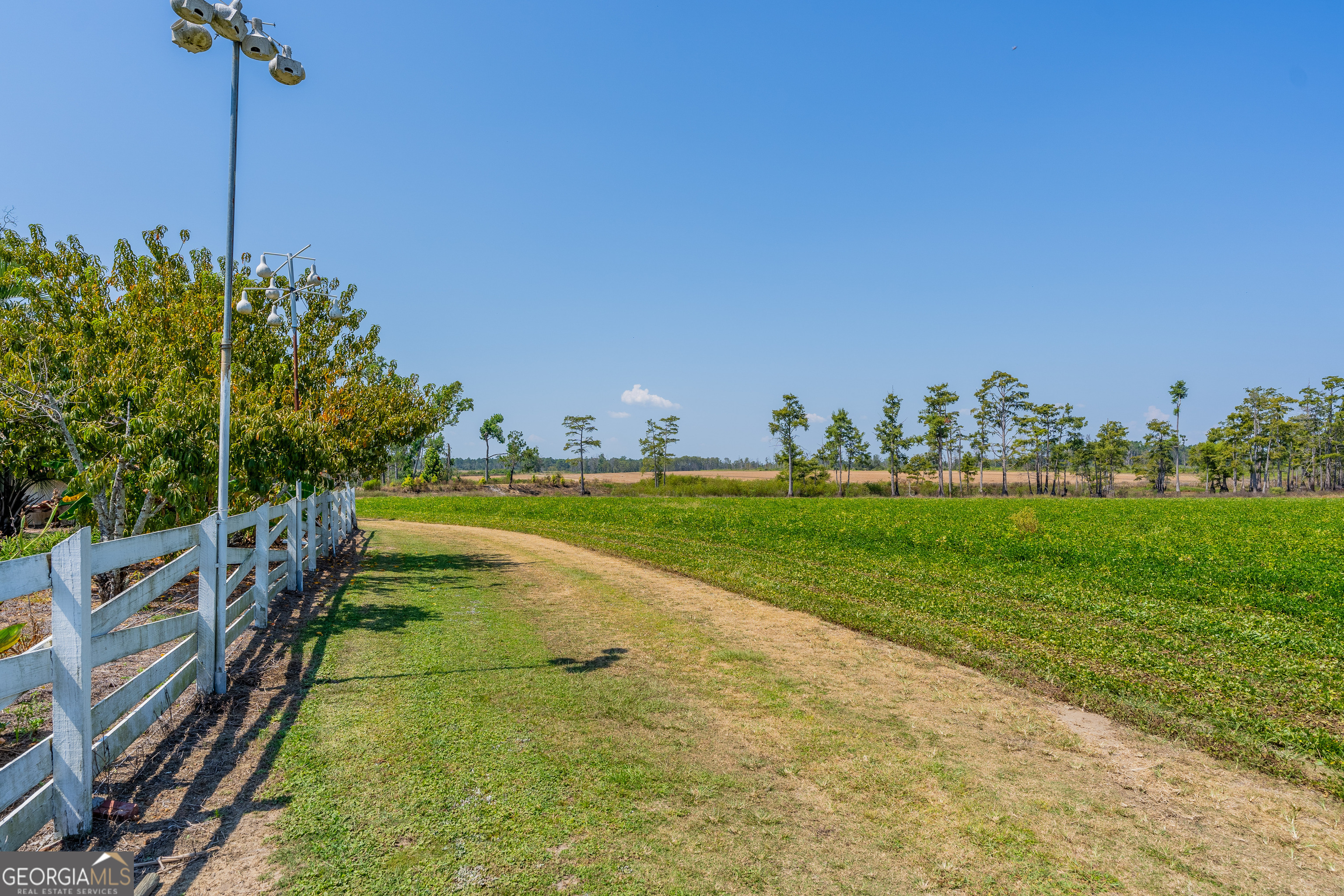 1671 Warren Carter Road Douglas, GA 31533 - Photo 14 of 57