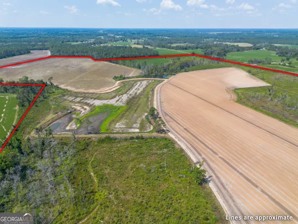 a view of outdoor space and garden