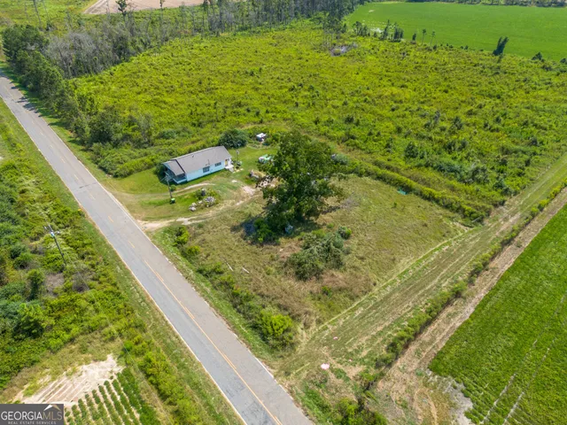a view of a yard with plants