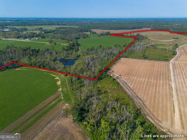 a view of a garden from a balcony