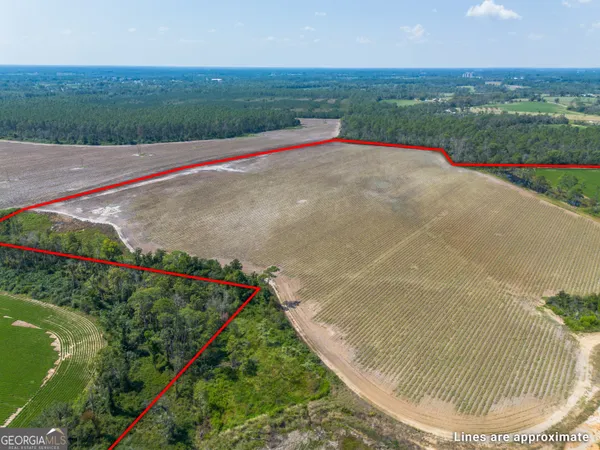 a view of a garden with a building in the background