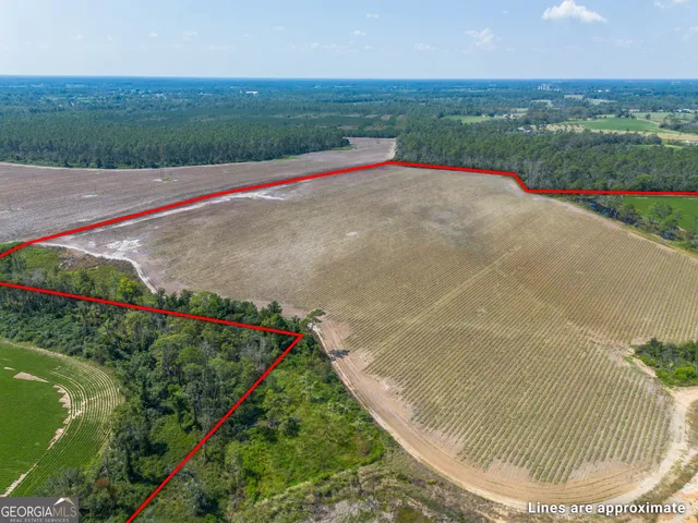 a view of a garden with a building in the background