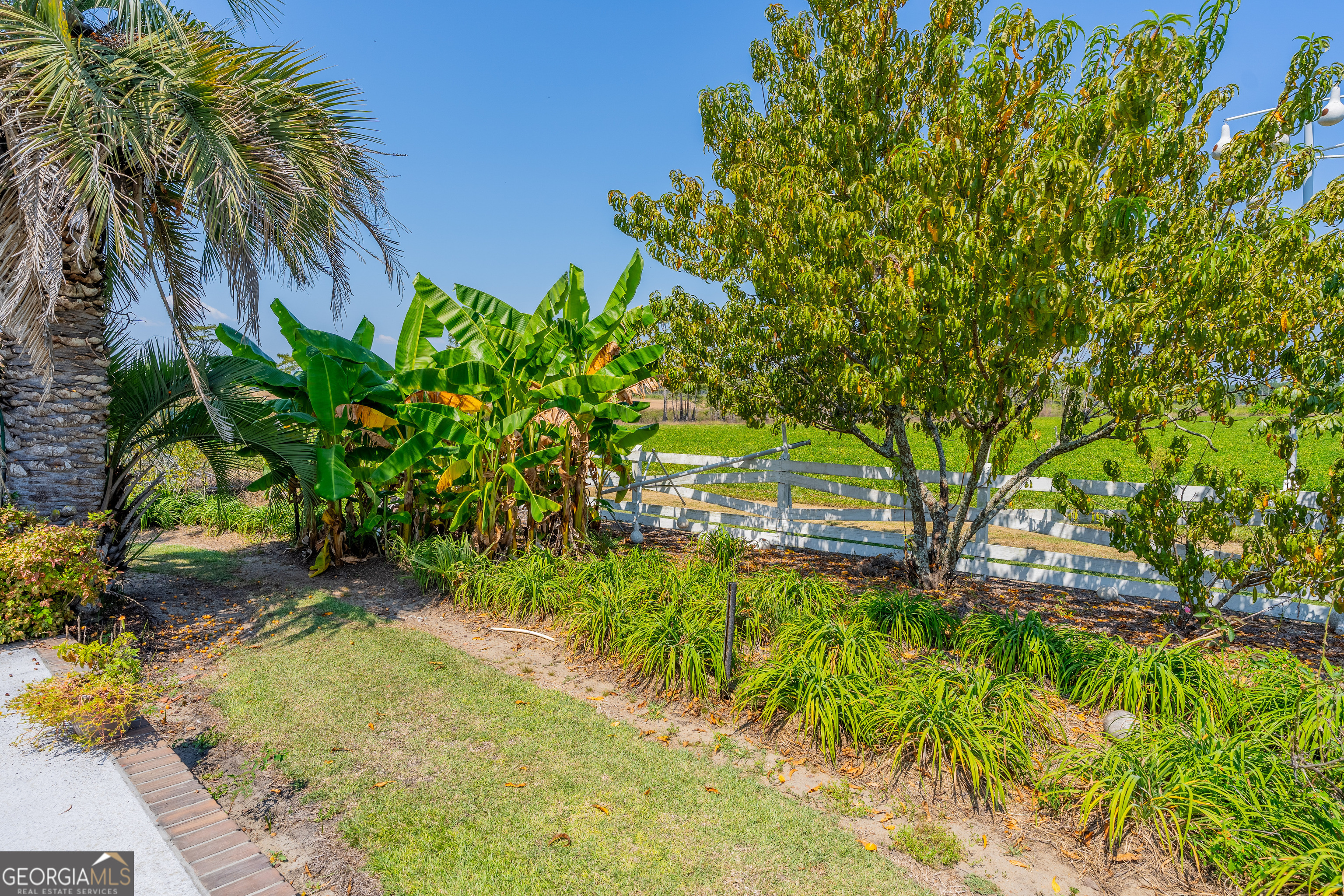 1671 Warren Carter Road Douglas, GA 31533 - Photo 28 of 57 a view of a yard with plants