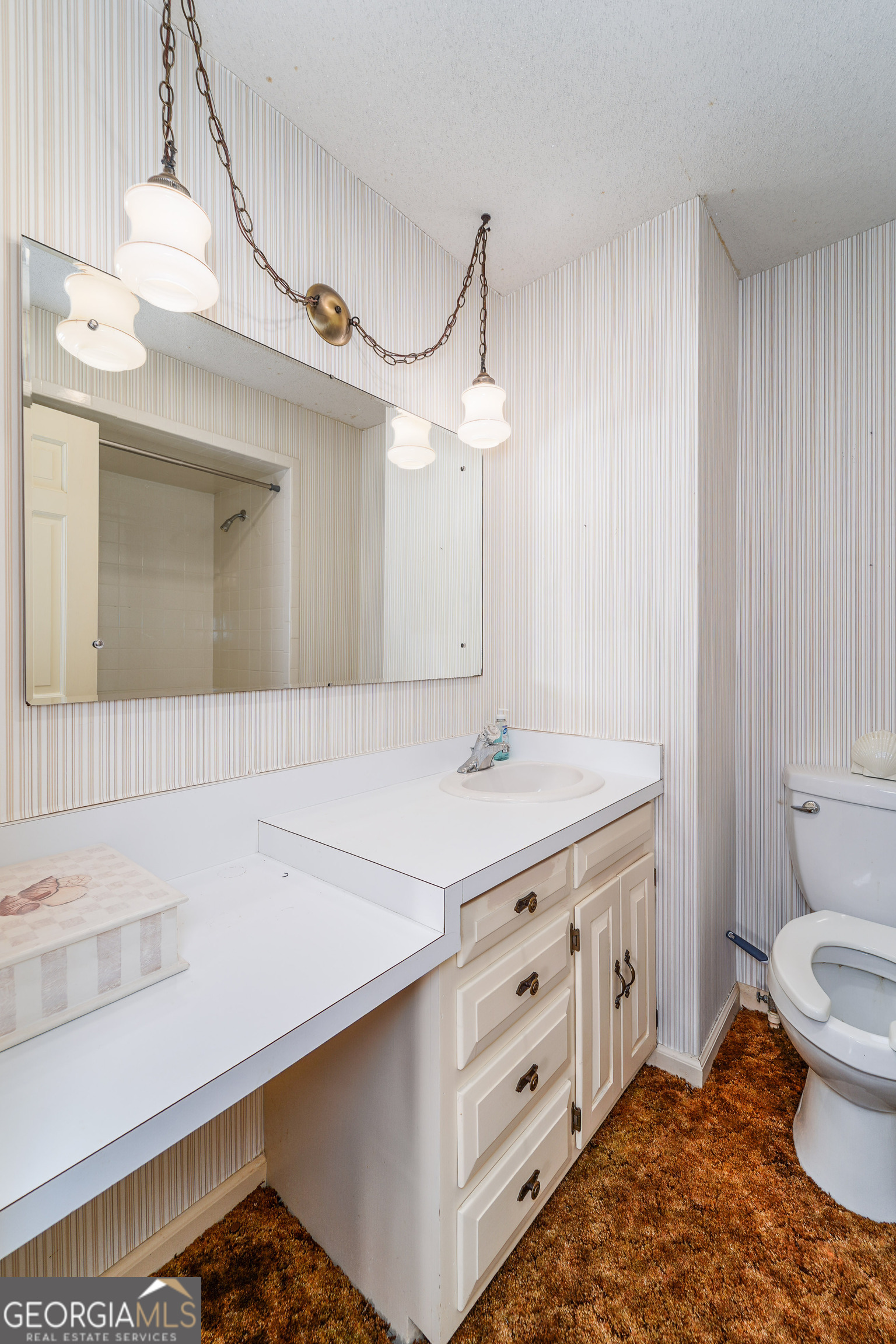 1671 Warren Carter Road Douglas, GA 31533 - Photo 52 of 57 a bathroom with a sink a toilet a mirror and shower