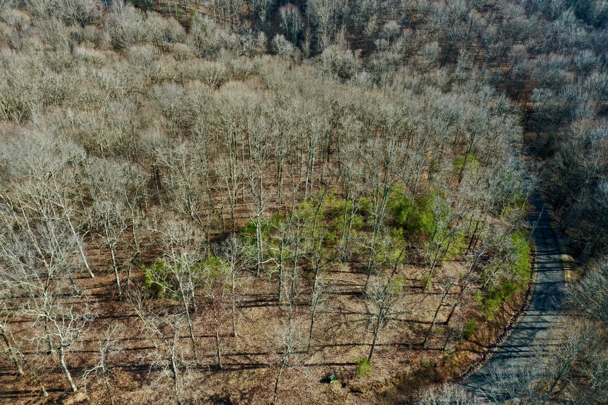 0 Forrest Crossing Waverly, TN 37185 - Photo 5 of 13 a view of a field