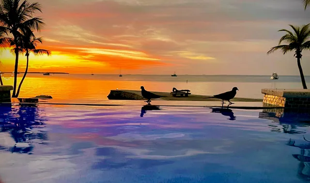 $25,000,000 | 82768 Overseas Highway, Islamorada, FL 33036