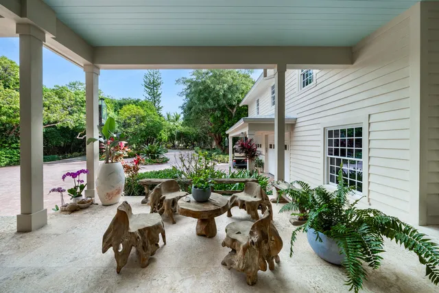 a view of a park with plants and trees