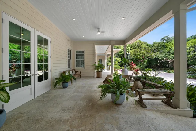 a view of a garden with plants