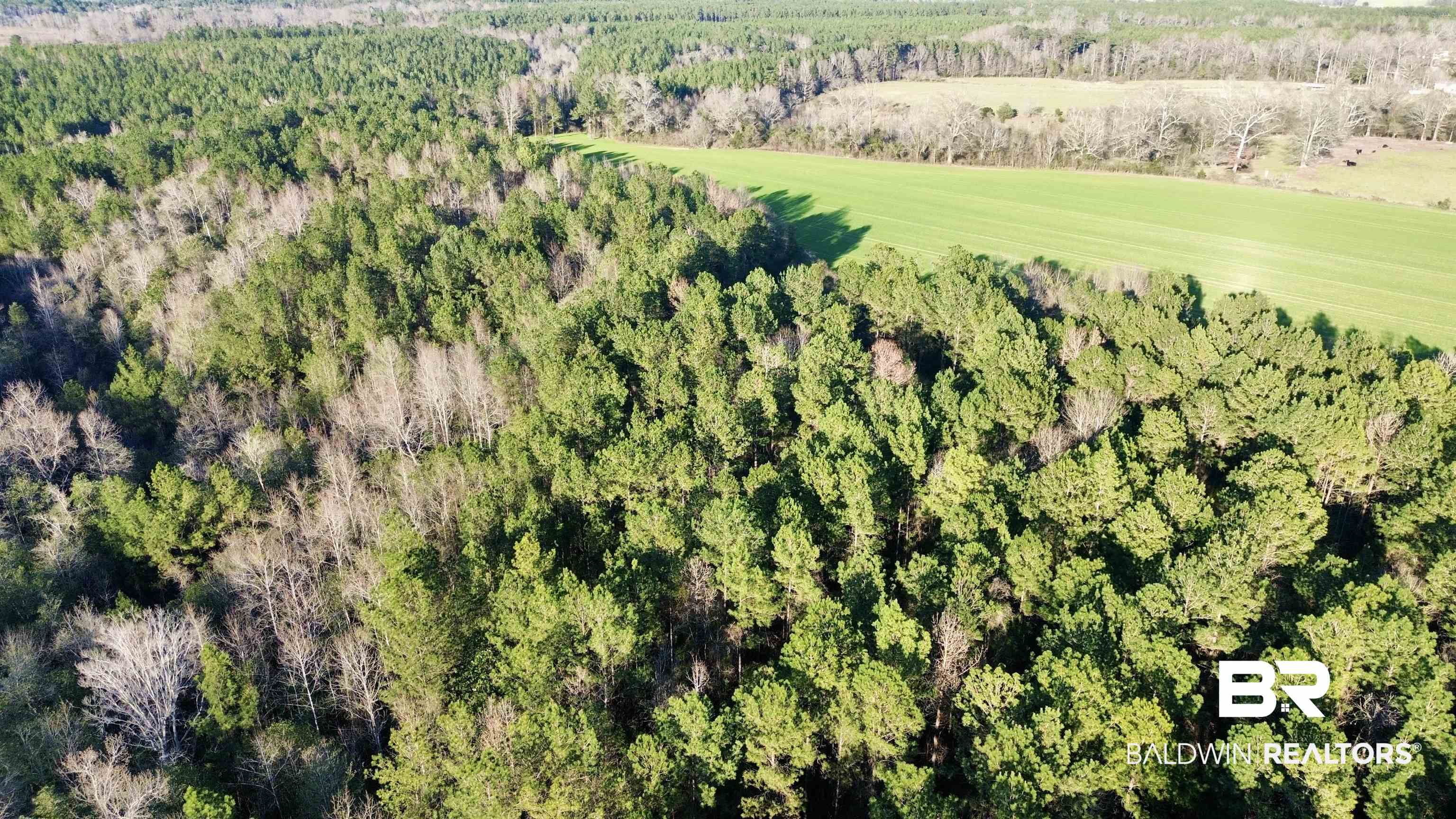 0 Ward Road Frisco City, AL 36445 - Photo 12 of 12 Aerial view