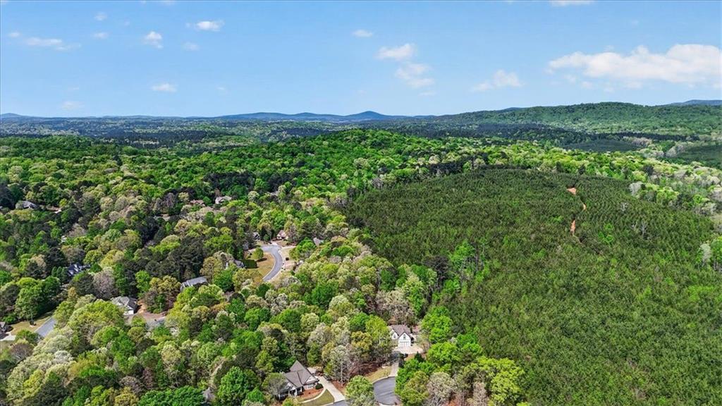 207 Oakwind Court Canton, GA 30114 - Photo 5 of 42