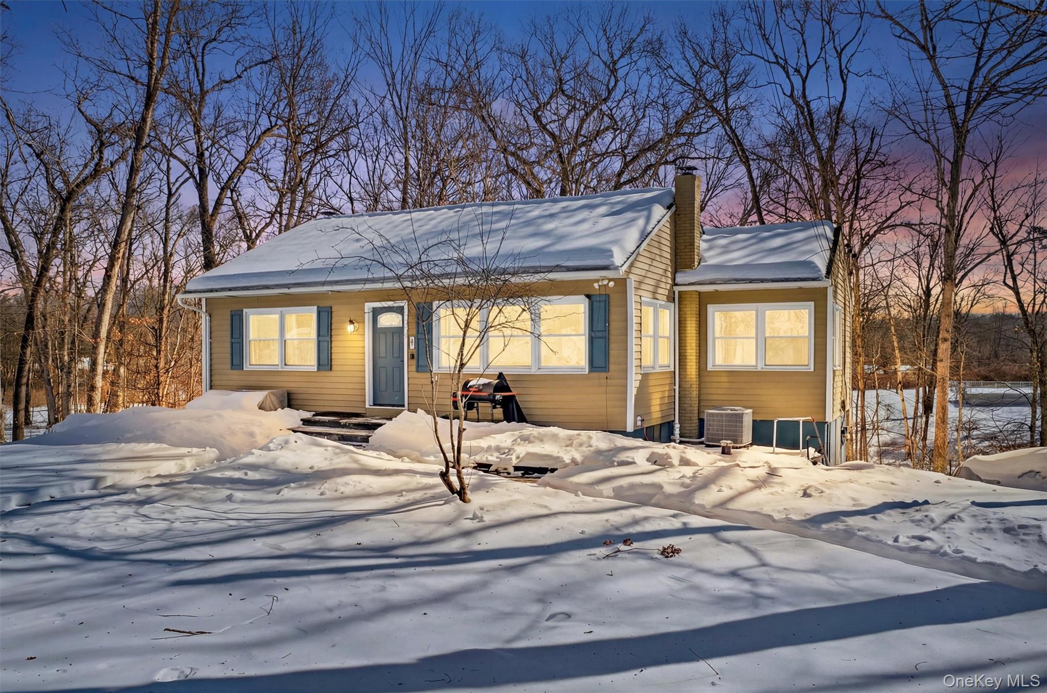 51 East Green Road Rock Tavern, NY 12575 - Photo 1 of 43 a view of a house with snow on the floor