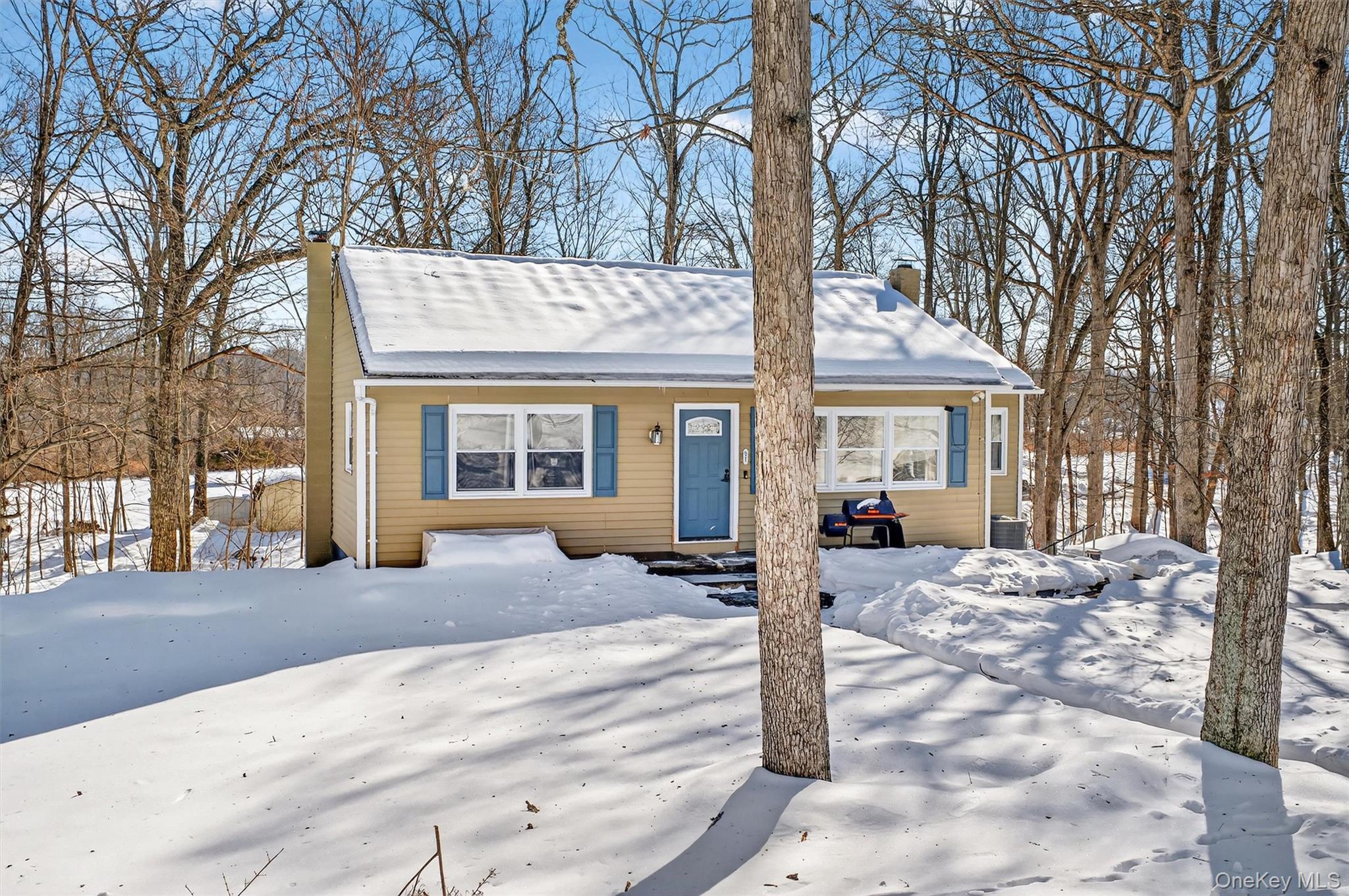 51 East Green Road Rock Tavern, NY 12575 - Photo 3 of 43 a view of a house with a tree in front of it