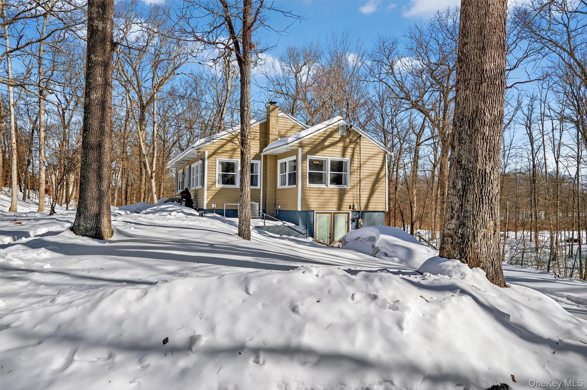 51 East Green Road Rock Tavern, NY 12575 - Photo 37 of 43 a view of a house with a yard covered in snow