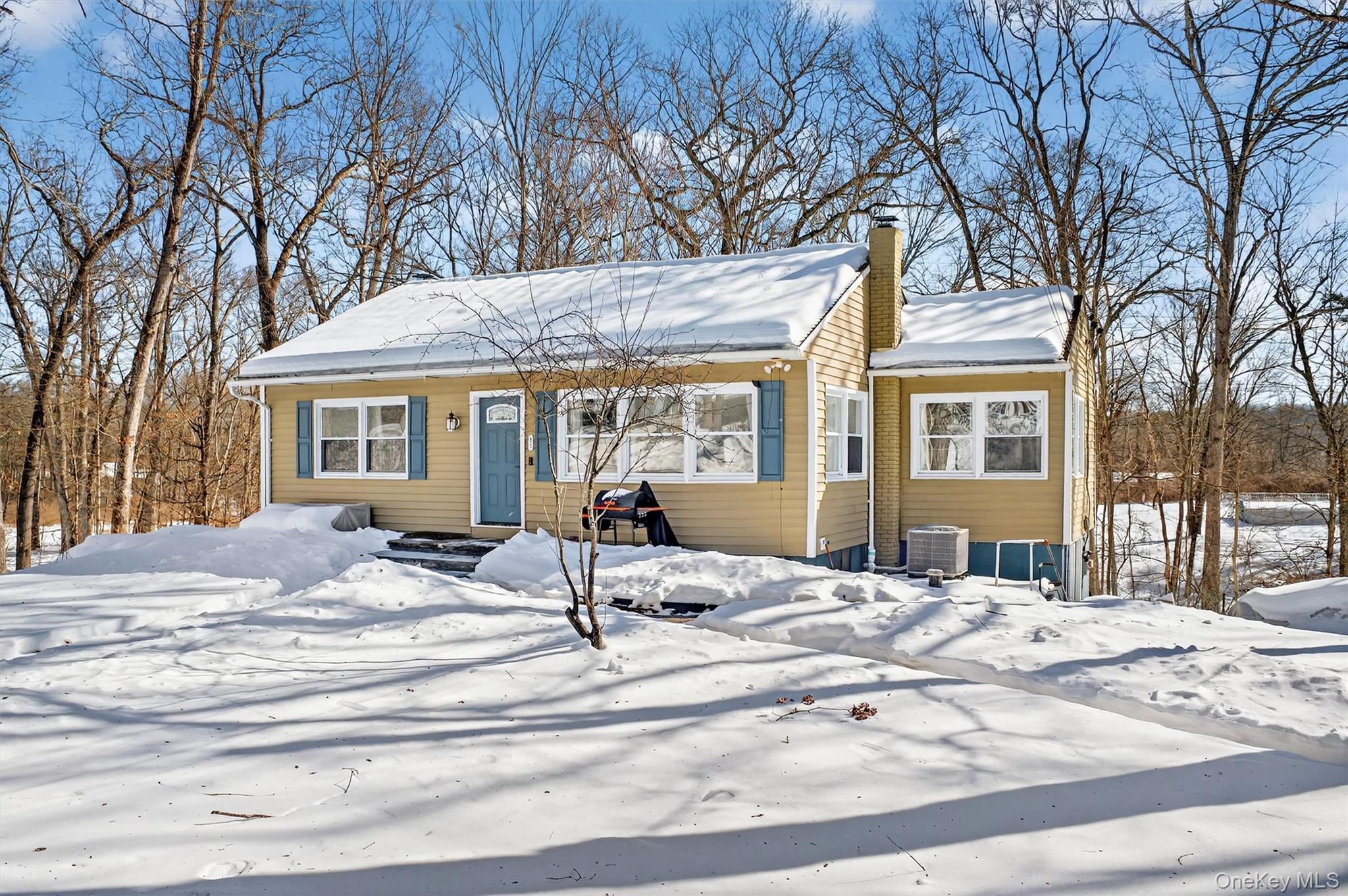 51 East Green Road Rock Tavern, NY 12575 - Photo 4 of 43 a view of a house with snow on the background