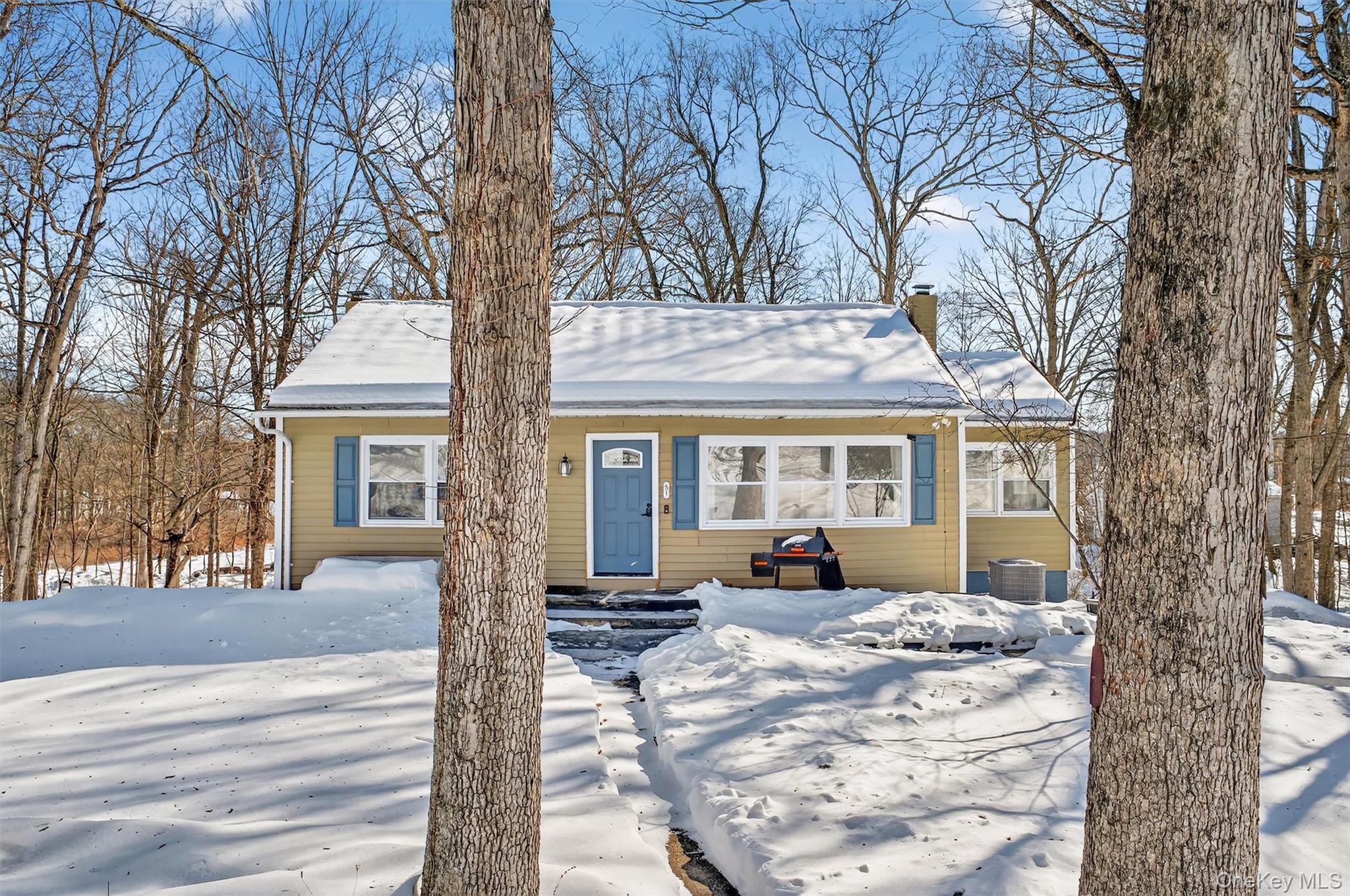 51 East Green Road Rock Tavern, NY 12575 - Photo 5 of 43 a view of a house with a outdoor space