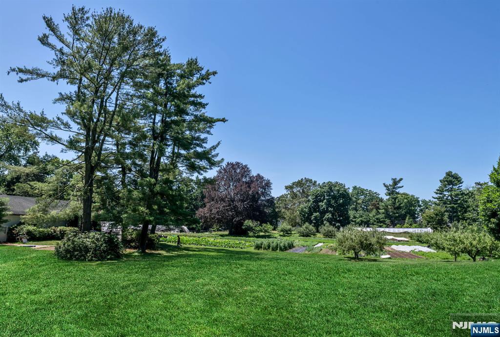 681 Closter Dock Road Closter, NJ 07624 - Photo 35 of 40 a view of a grassy field with trees in the background