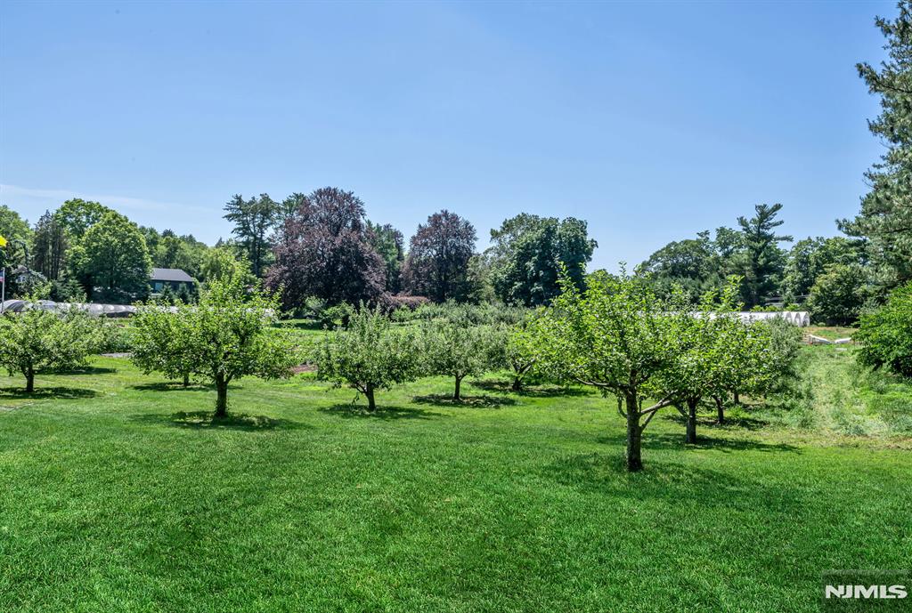 681 Closter Dock Road Closter, NJ 07624 - Photo 37 of 40