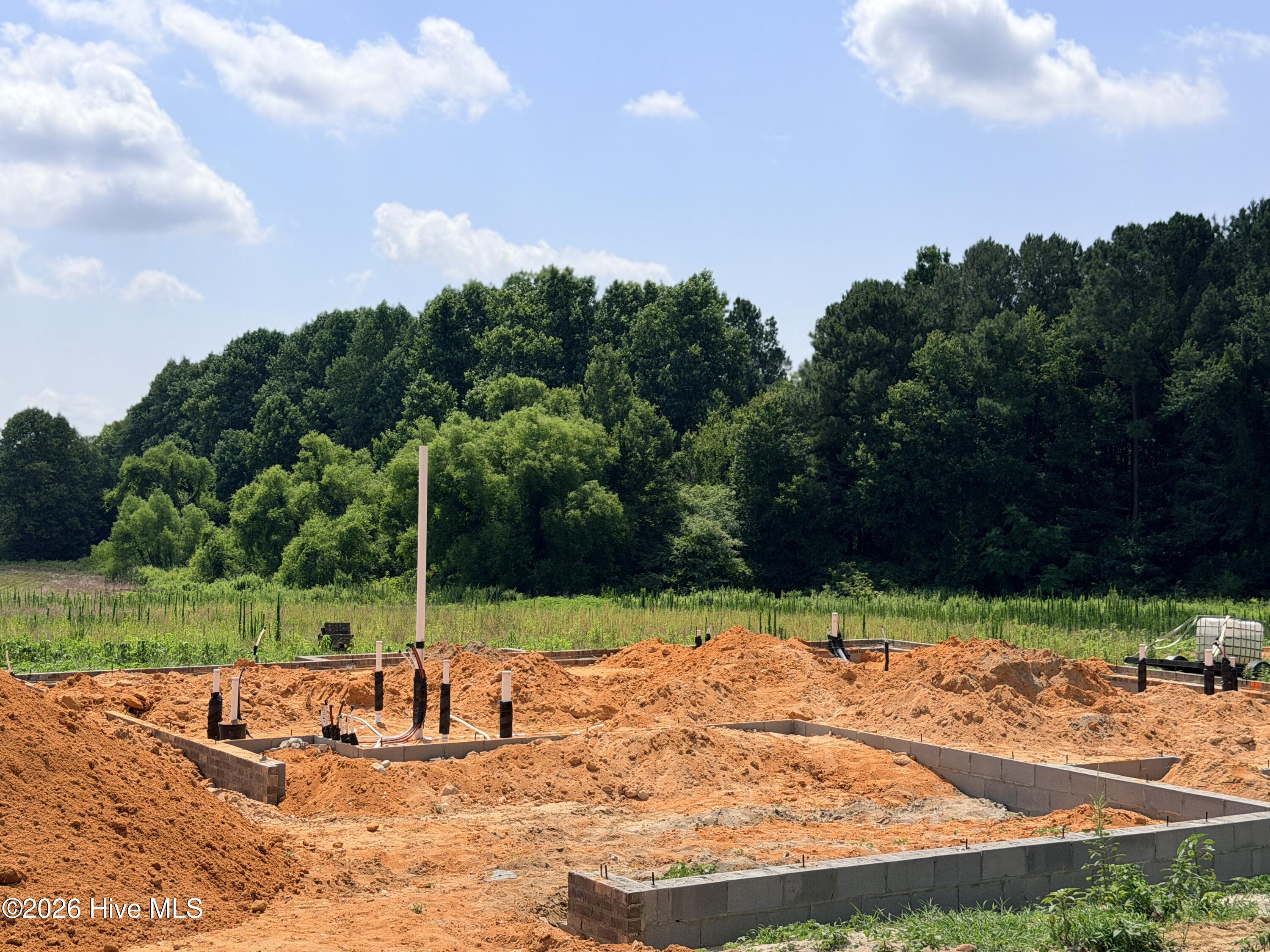 185 Bibey Road, Unit LOT 3 Carthage, NC 28327 - Photo 1 of 9 Front