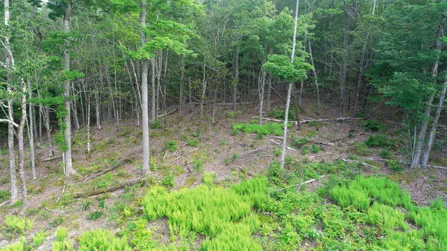 $58,000 | 30 Moonbeam Way, Bangor, ME 04401