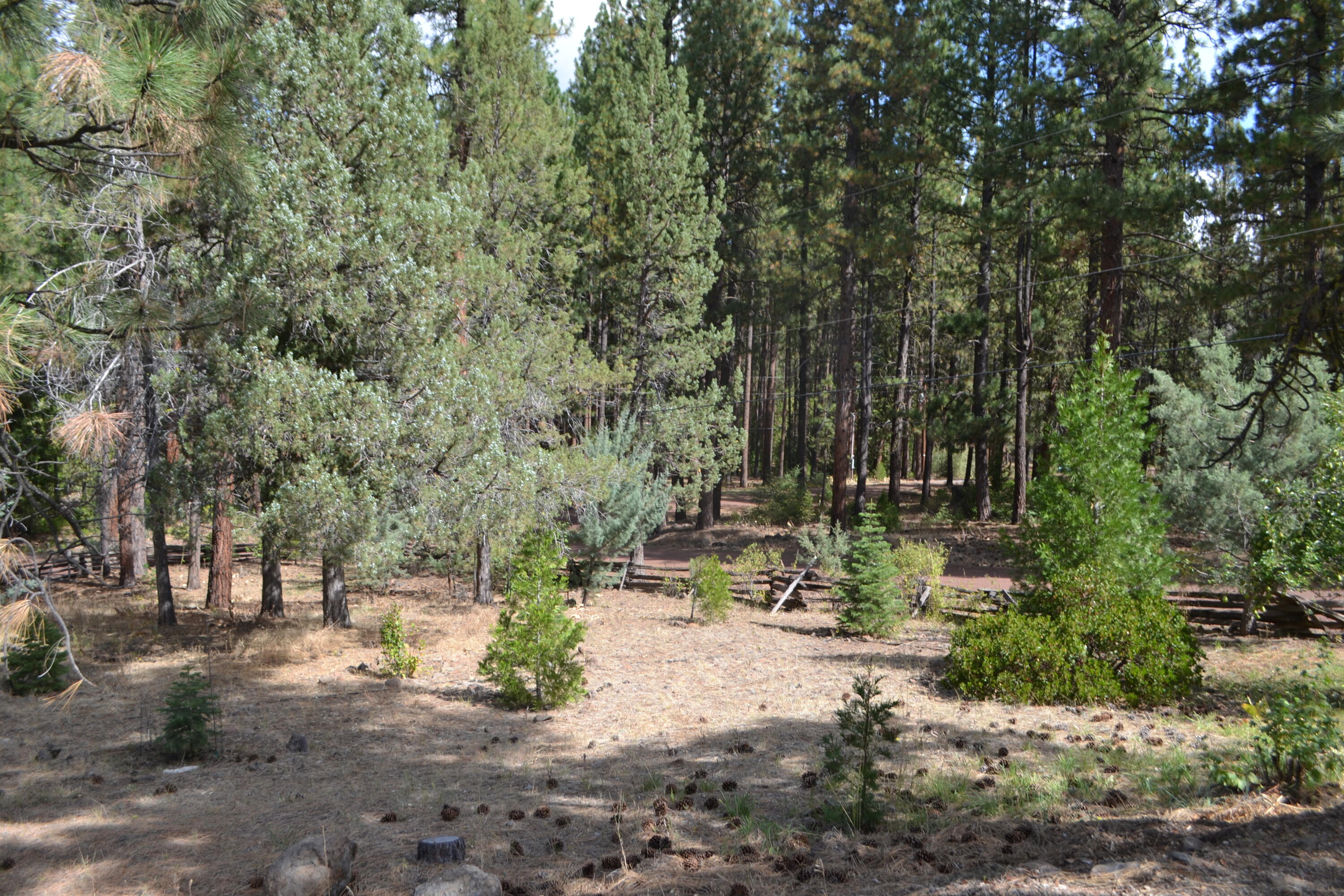 34 Hideaway Lane Adin, CA 96006 - Photo 23 of 26 a view of yard with green space