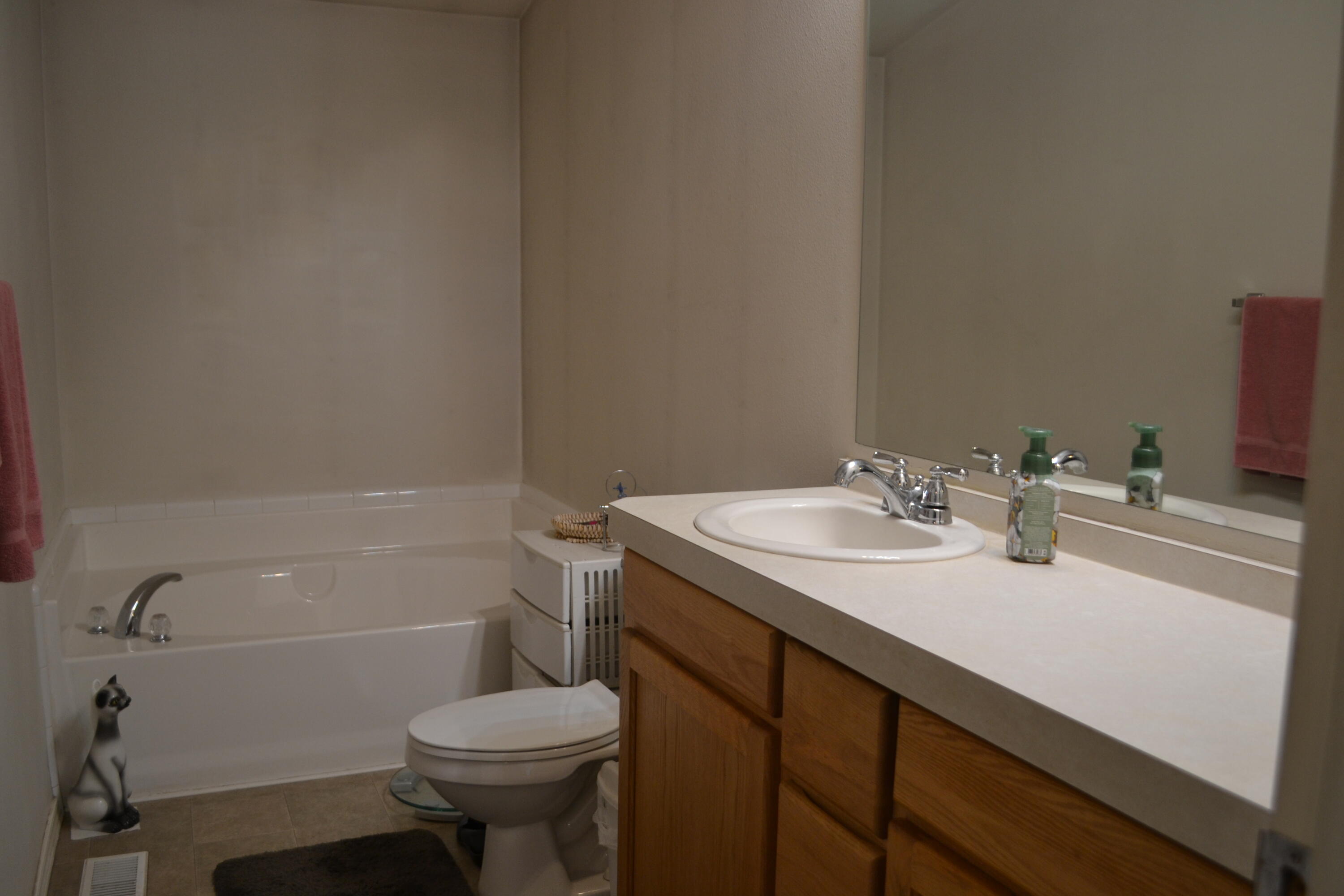34 Hideaway Lane Adin, CA 96006 - Photo 8 of 26 a bathroom with a sink toilet and a mirror