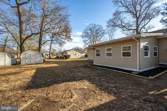 a view of a backyard with large trees