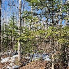 Lot0 Us Highway 63 Hayward
