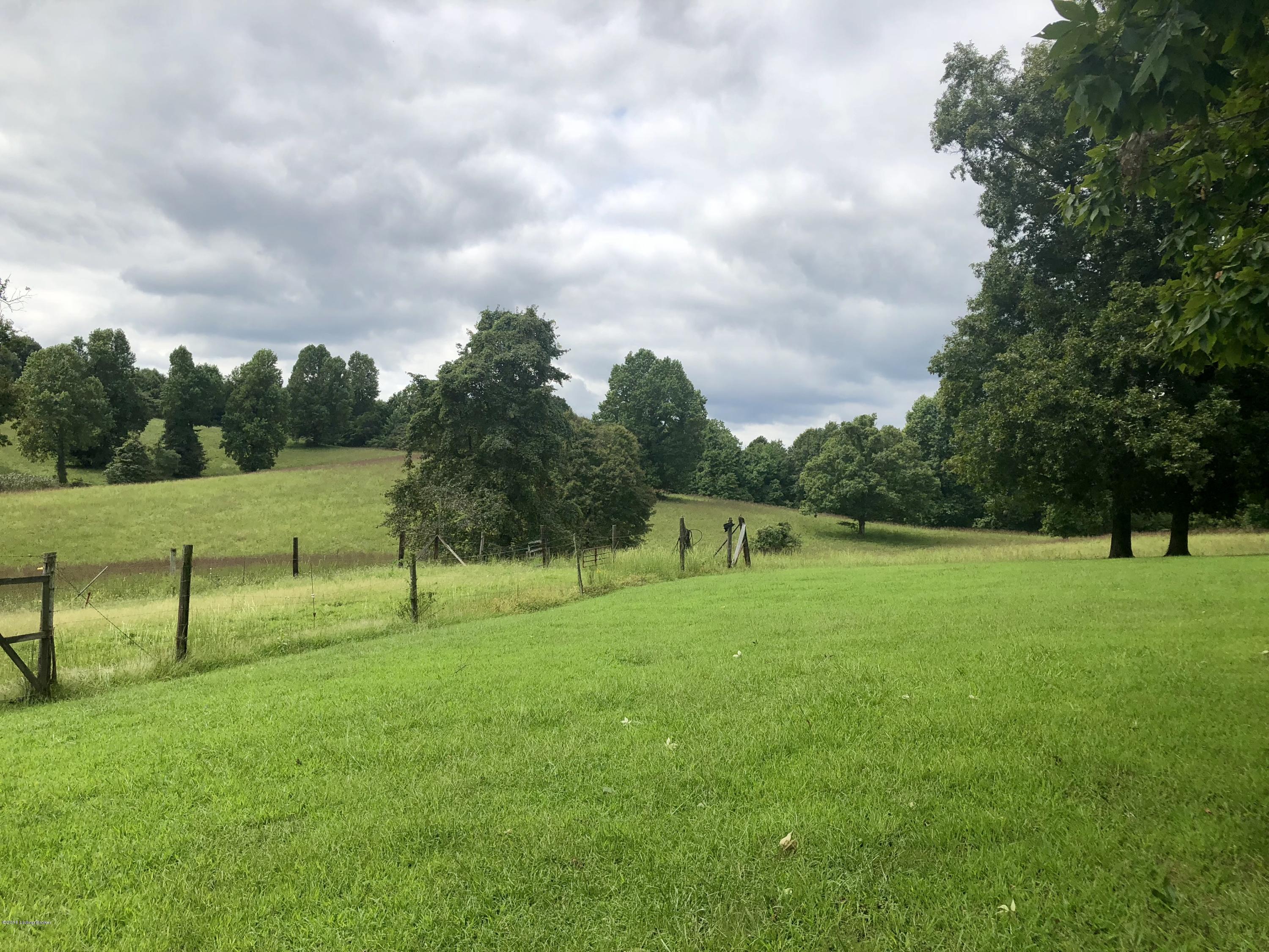 617 North Hopewell Church Road Fordsville, KY 42343 - Photo 77 of 116 77