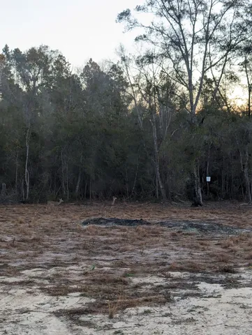 $2,000 | 321 Northeast Cedar Trail, Pinetta, FL 32350