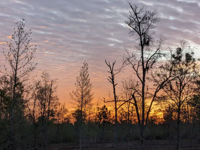 $2,000 | 321 Northeast Cedar Trail, Pinetta, FL 32350