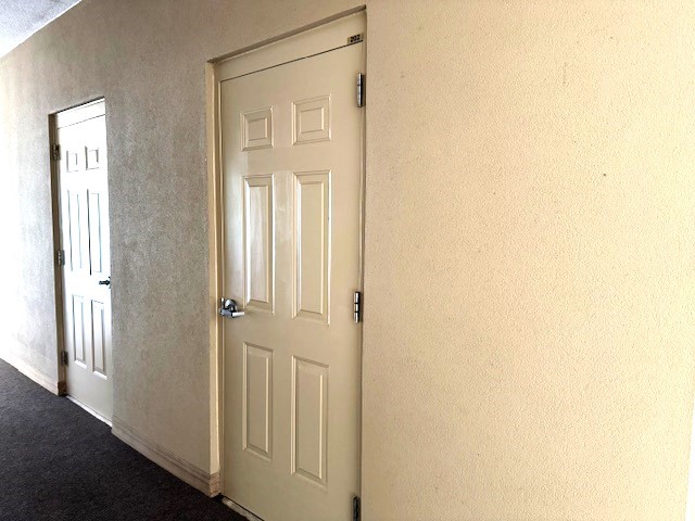 849 Tiger Boulevard, Unit 202 Clemson, SC 29631 - Photo 21 of 25 Storage closet