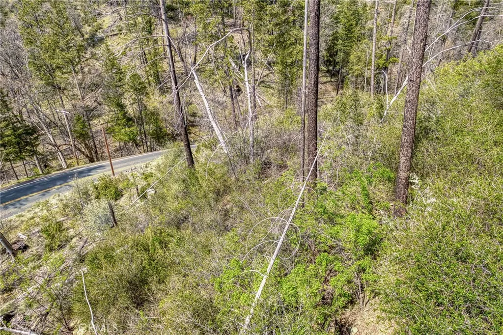 13553 View Cobb Ca Cobb, CA 95426 - Photo 11 of 15 a view of a yard with flower plants