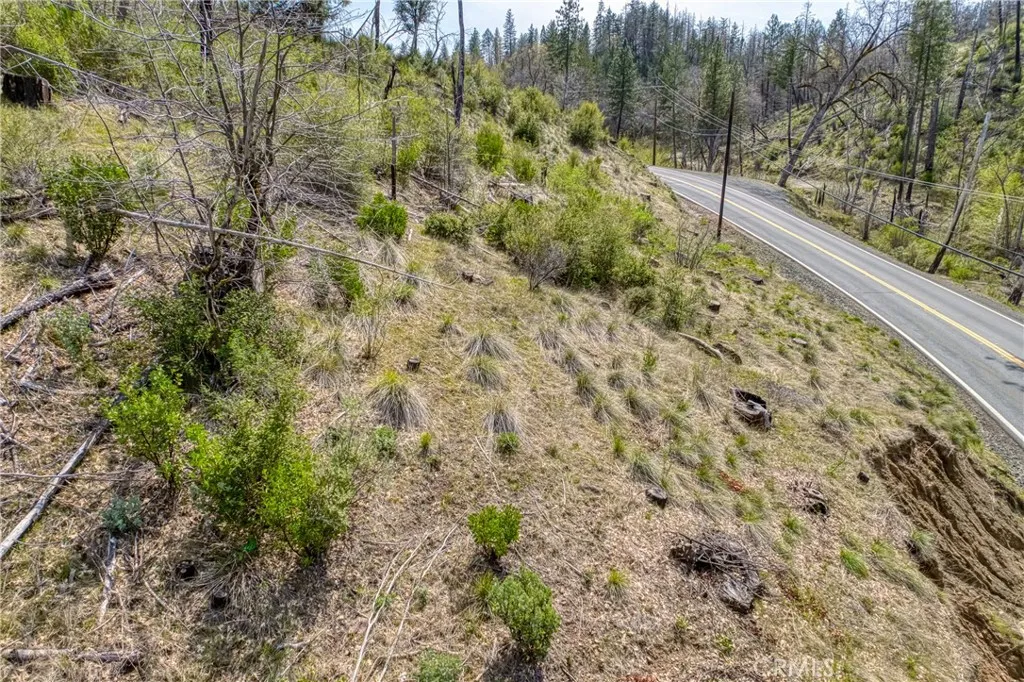 13553 View Cobb Ca Cobb, CA 95426 - Photo 12 of 15 a view of a forest filled with trees