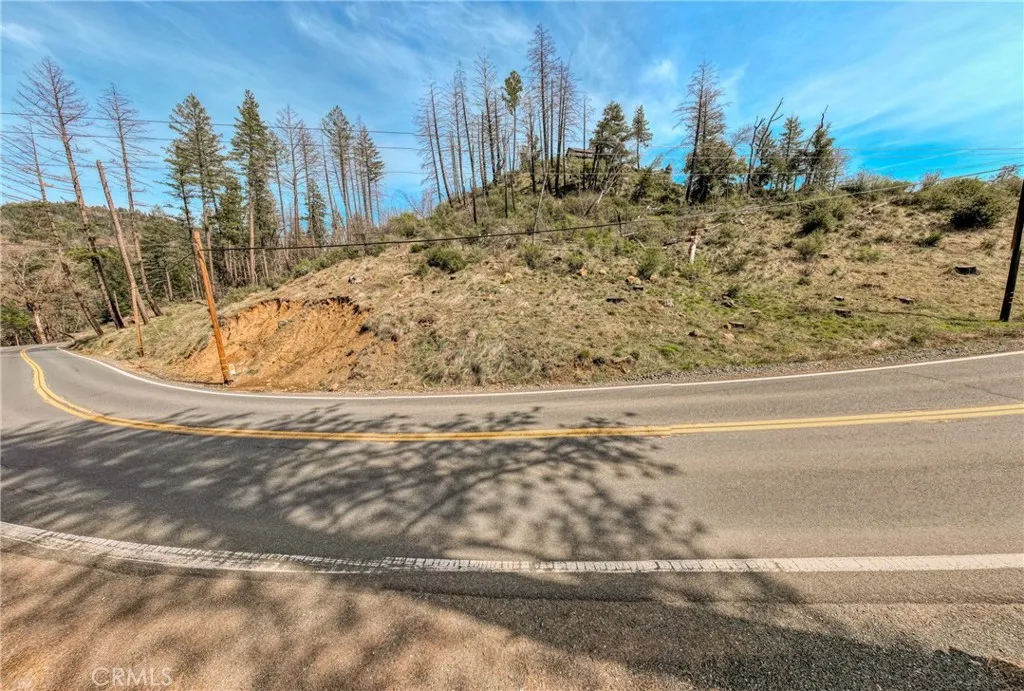13553 View Cobb Ca Cobb, CA 95426 - Photo 13 of 15 a view of a very nice looking yard