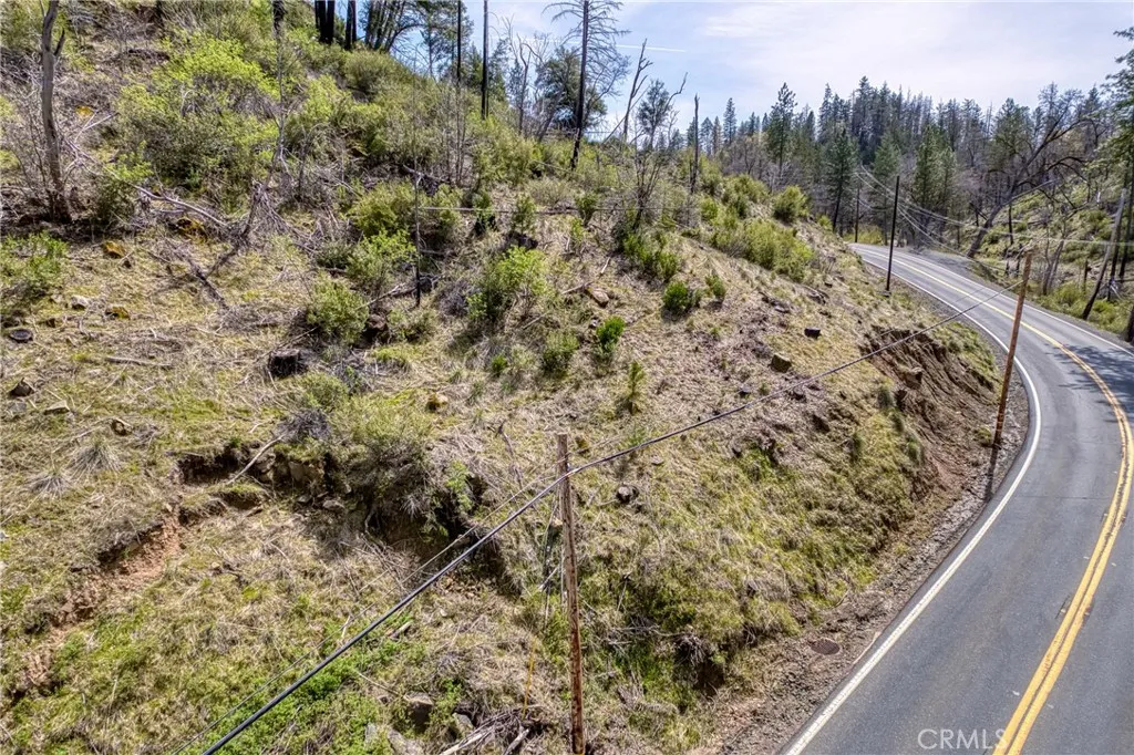 13553 View Cobb Ca Cobb, CA 95426 - Photo 14 of 15 a view of a yard with a tree