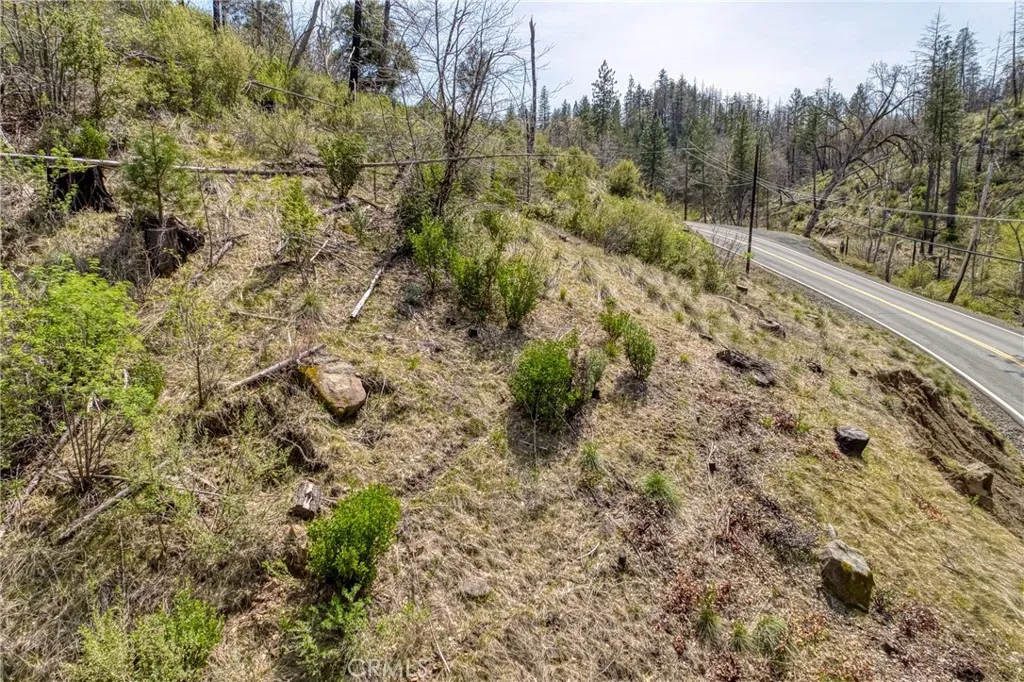 13553 View Cobb Ca Cobb, CA 95426 - Photo 15 of 15 a view of a yard with trees