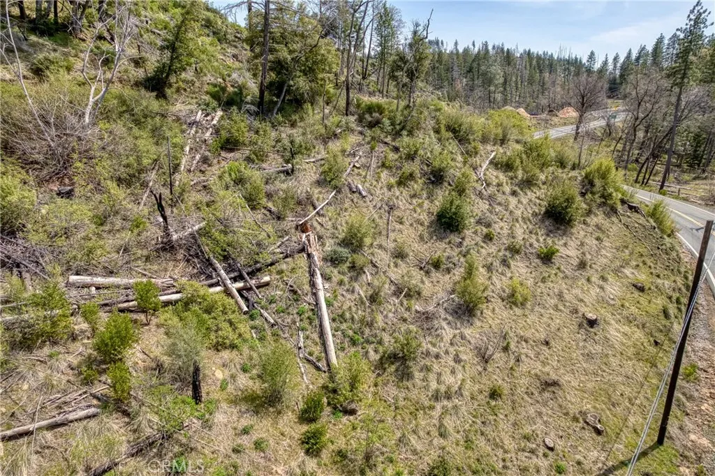 13553 View Cobb Ca Cobb, CA 95426 - Photo 3 of 15 a view of a yard with trees