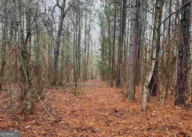 $59,000 | 1017 Queens Bridge, Griffin, GA 30223