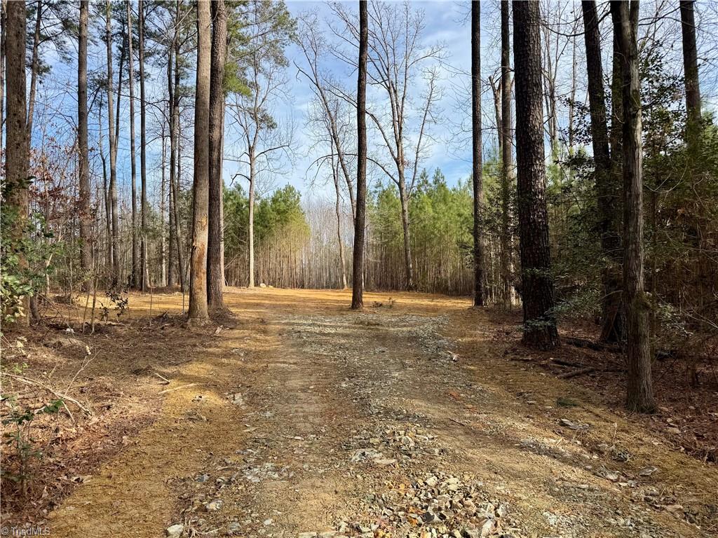 Driveway pushed in and opening for possible homesite has been cleared