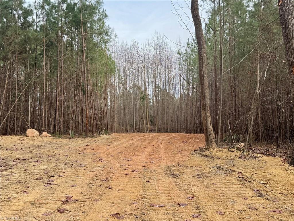 0 Dover Church Road Seagrove, NC 27341 - Photo 12 of 23