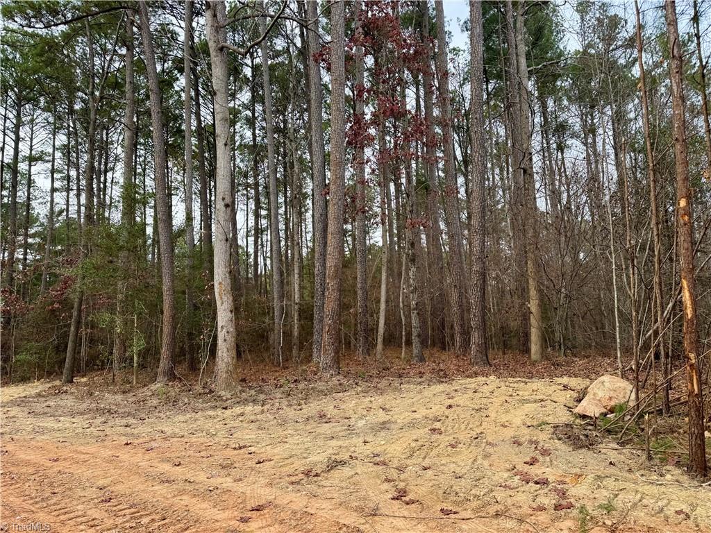 0 Dover Church Road Seagrove, NC 27341 - Photo 13 of 23