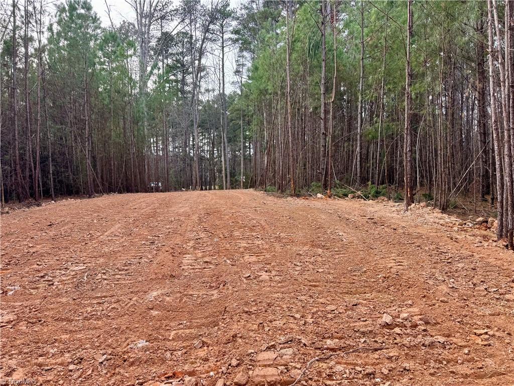 0 Dover Church Road Seagrove, NC 27341 - Photo 14 of 23