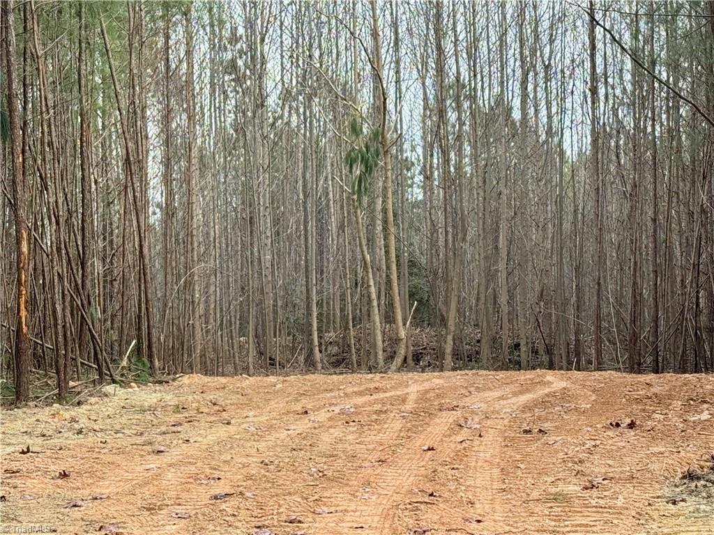 0 Dover Church Road Seagrove, NC 27341 - Photo 17 of 23