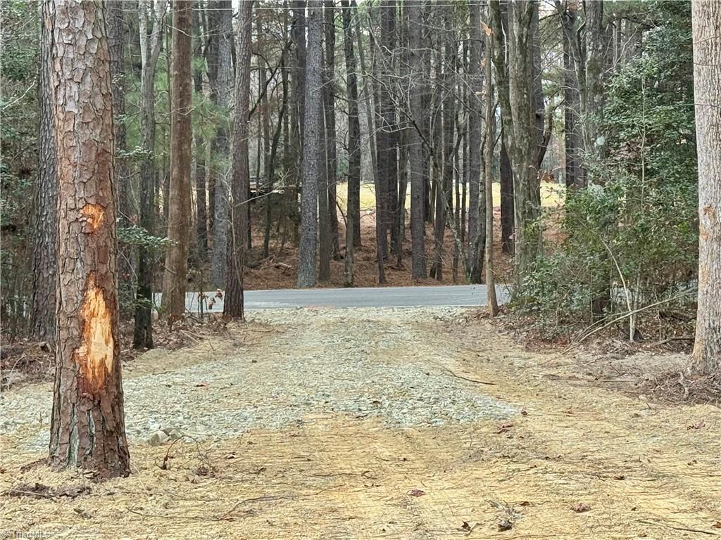 0 Dover Church Road Seagrove, NC 27341 - Photo 18 of 23