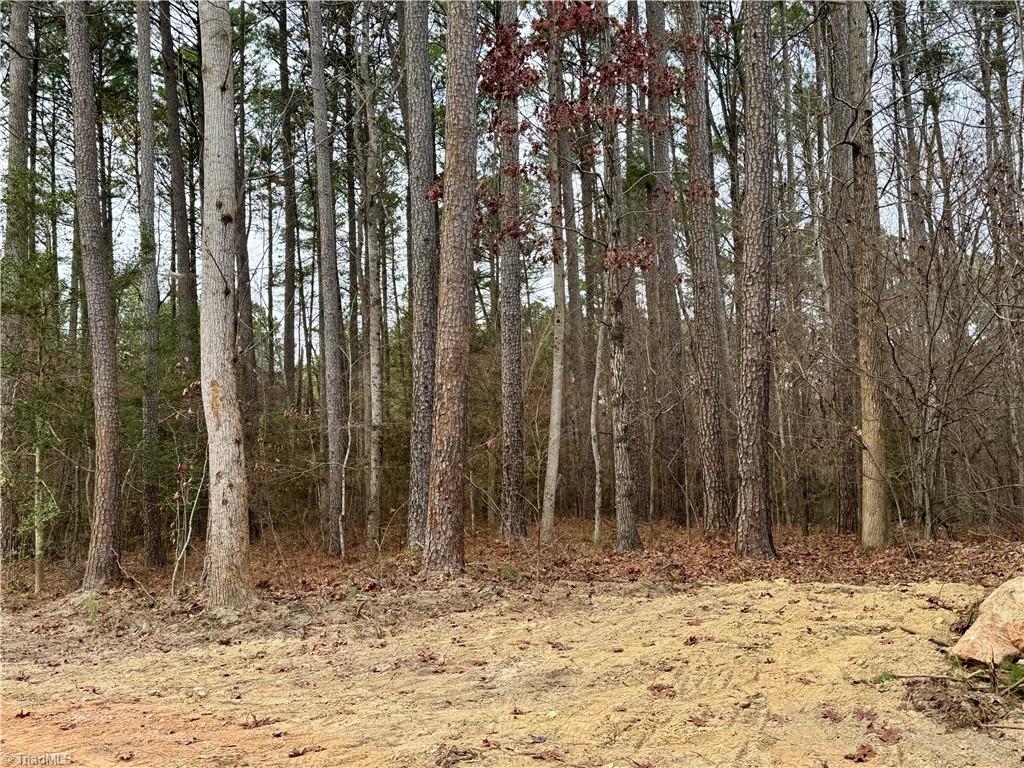 0 Dover Church Road Seagrove, NC 27341 - Photo 20 of 23