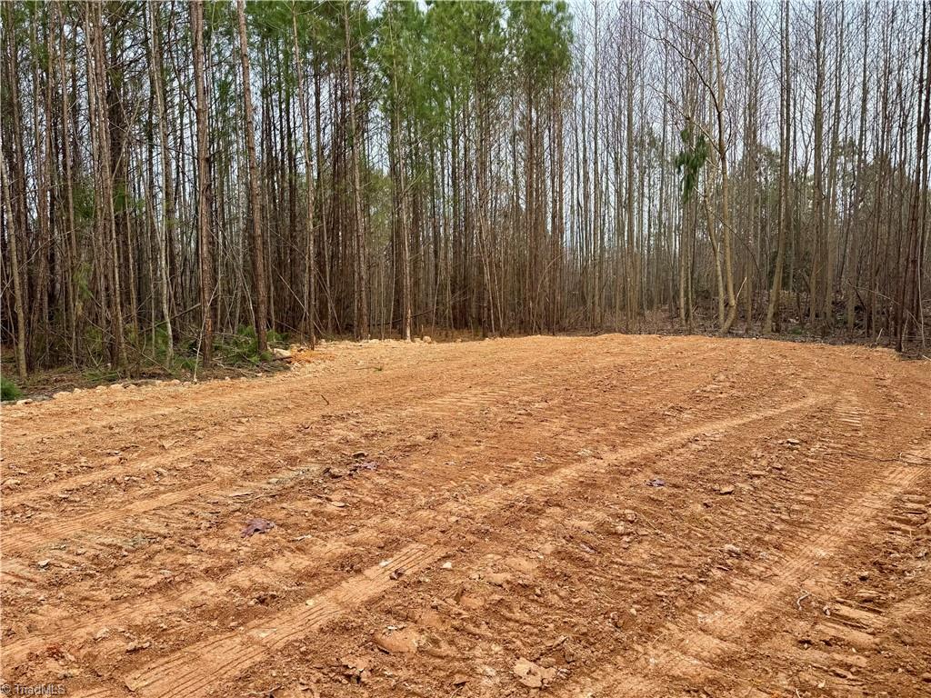 0 Dover Church Road Seagrove, NC 27341 - Photo 2 of 23