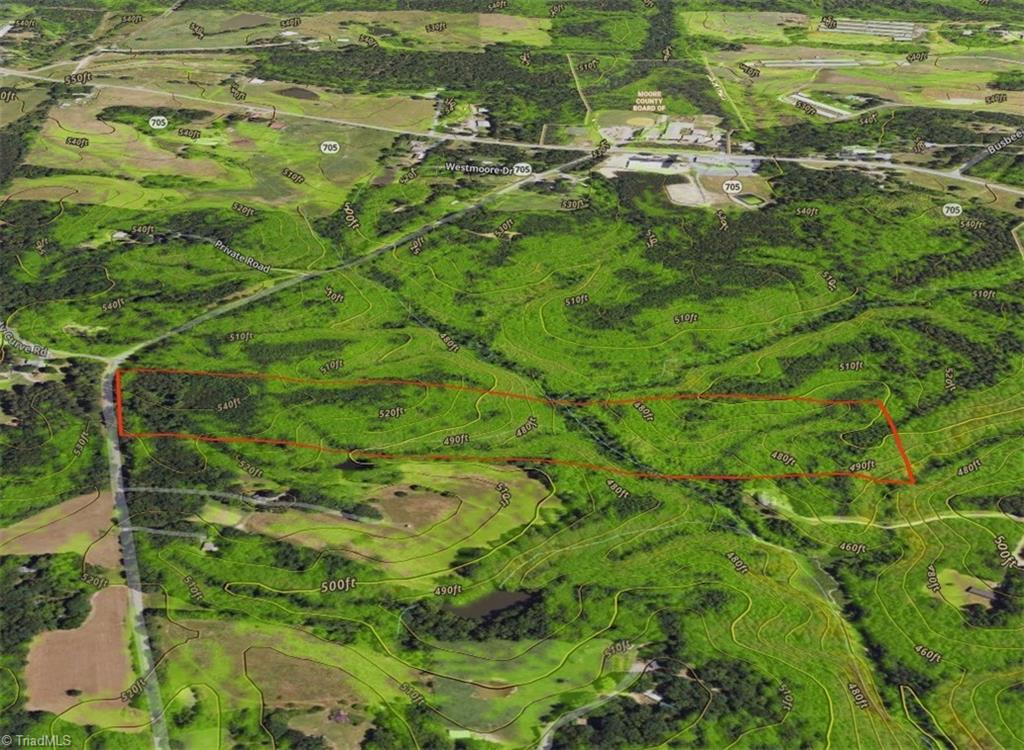 0 Dover Church Road Seagrove, NC 27341 - Photo 3 of 23